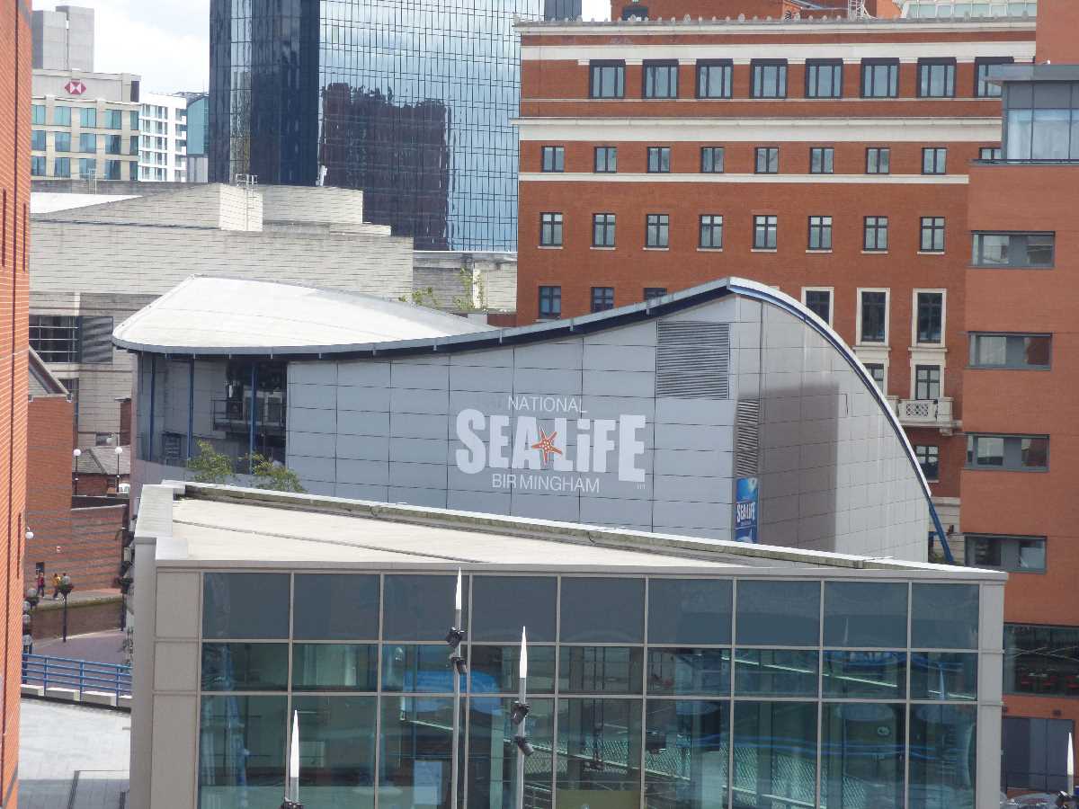 National Sealife Centre - A Birmingham Gem!