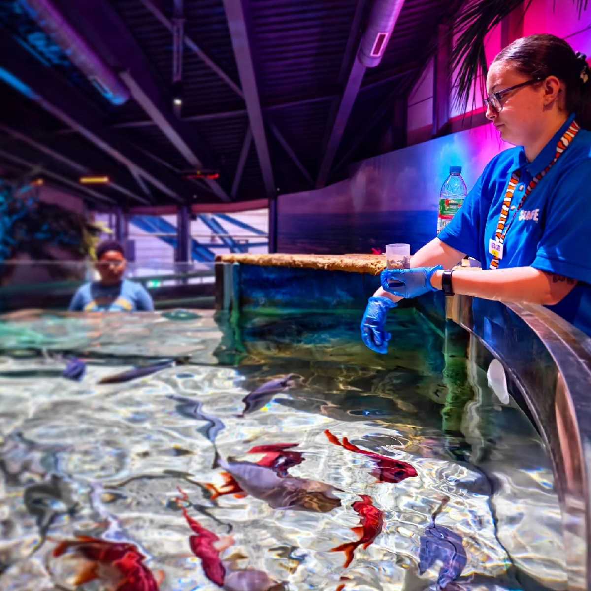 National Sealife Centre